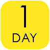1DAY